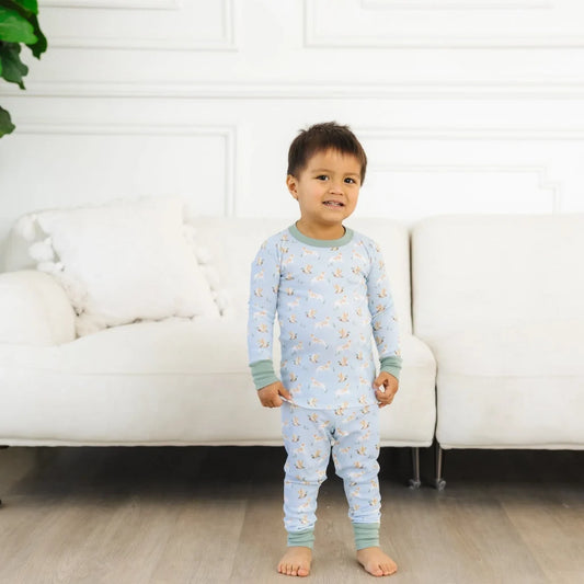 Magnolia Baby Boys Sleepwear Duck and Hound / 2 Toddler Luna & Arlo by Magnolia Baby Duck and Hound Long Pajamas