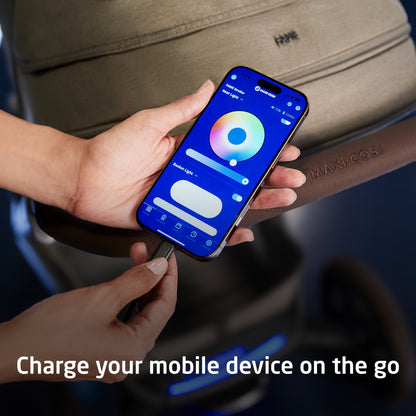 Maxi-Cosi Strollers - Single Maxi-Cosi Fame  Modular Stroller