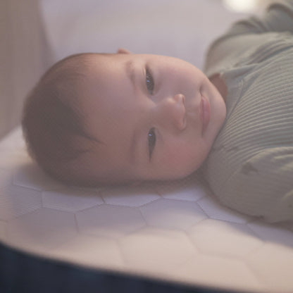 Dorel Juvenile Cribs Maxi-Cosi Iora 2-in-1 Co-Sleeper