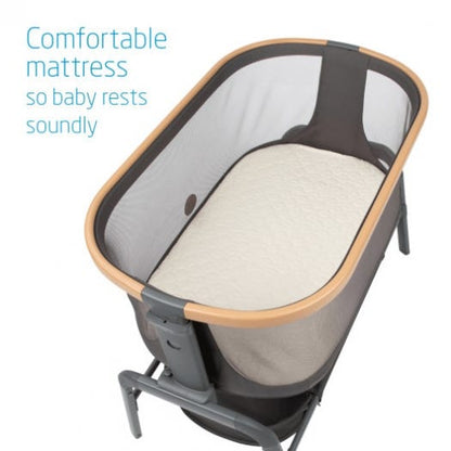 Dorel Juvenile Cribs Maxi-Cosi Iora 2-in-1 Co-Sleeper