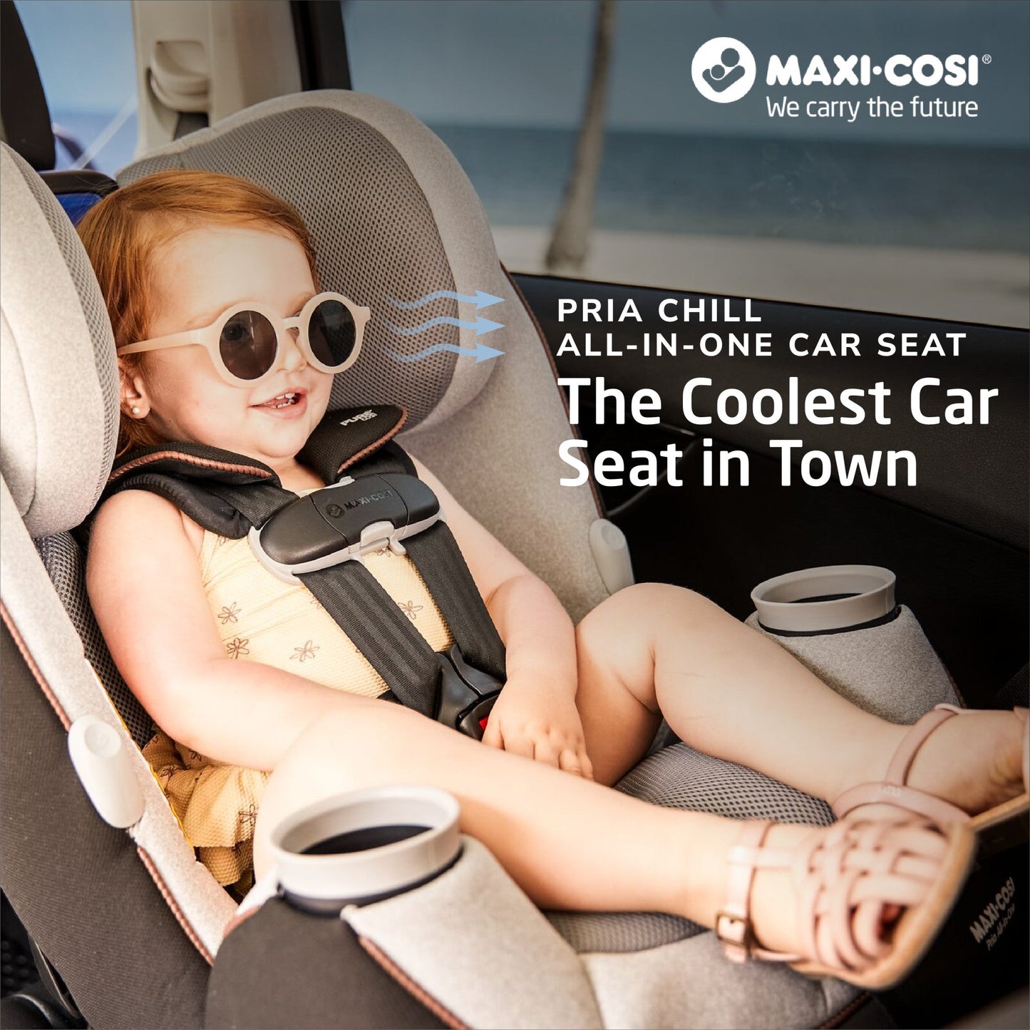Dorel Juvenile Convertible Maxi-Cosi Pria Chill All-in-One Convertible Car Seat