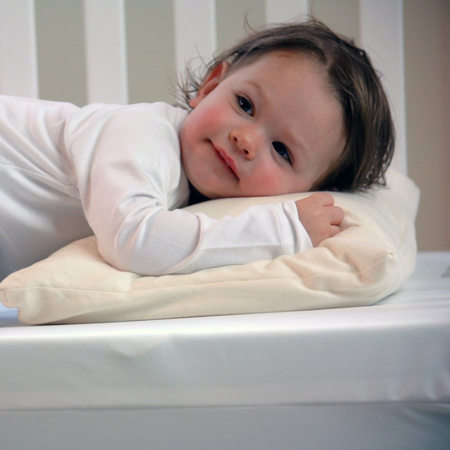 Moonlight SlumberMoonlight Little Dreamer Toddler Pillow with Organic CoverBabysupermarket