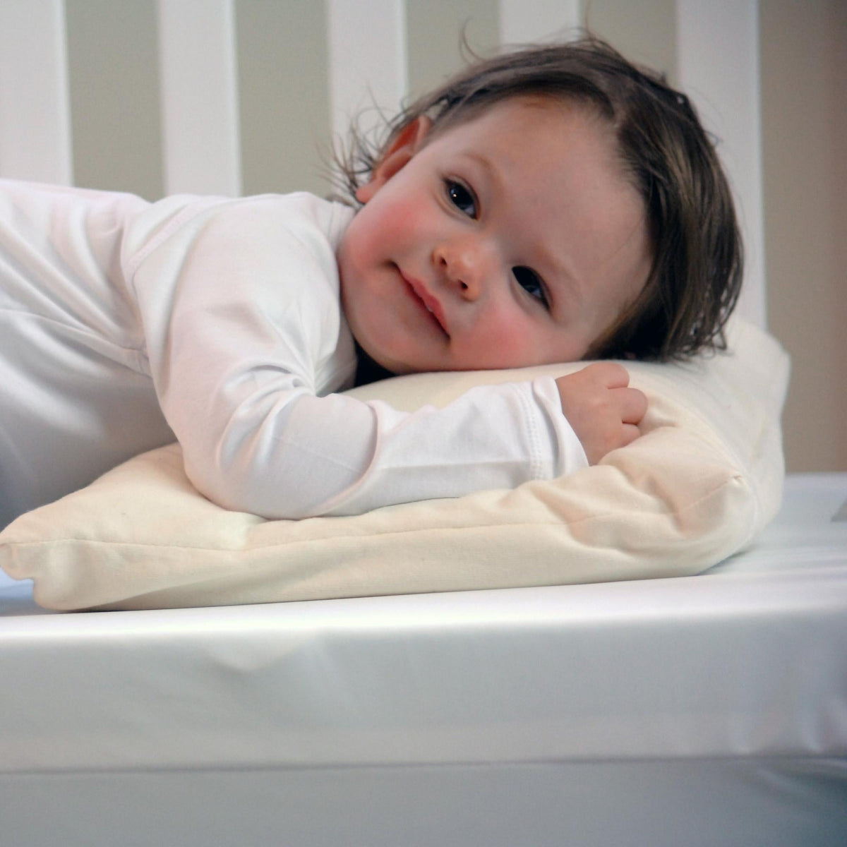 Moonlight SlumberMoonlight Little Dreamer Toddler Pillow with Organic CoverBabysupermarket