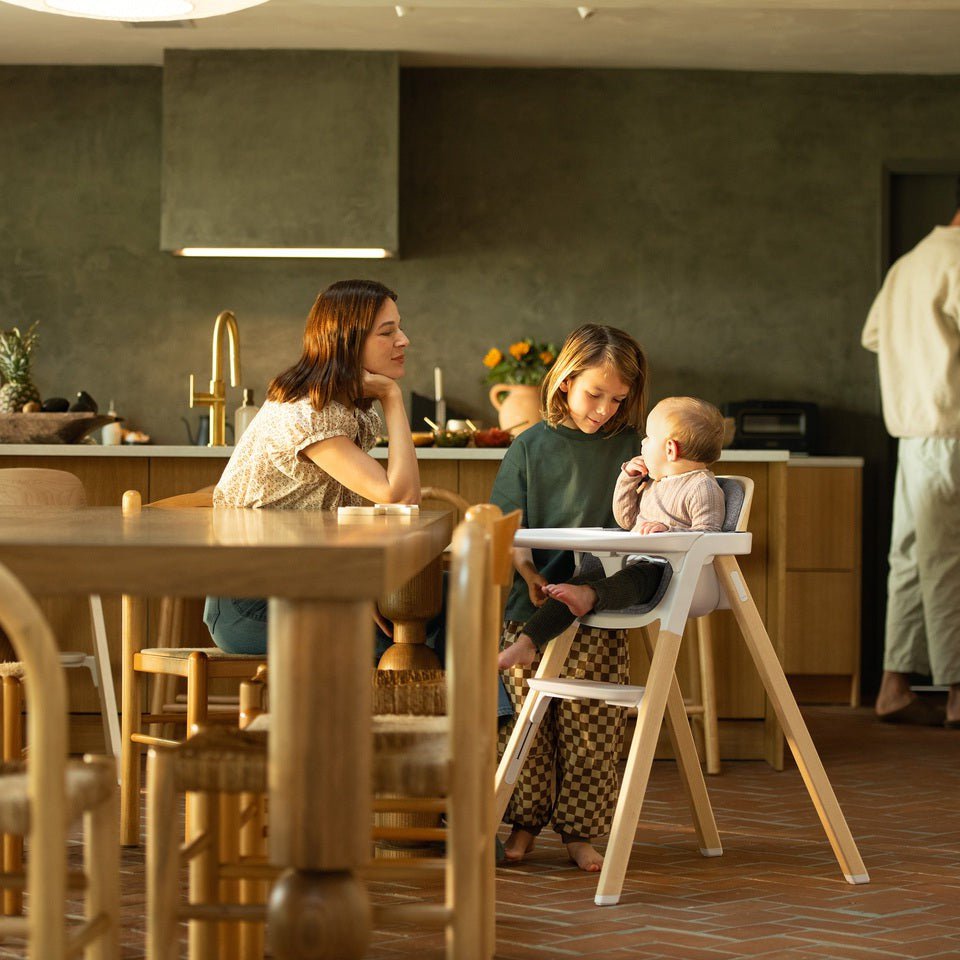 NUNA High Chairs and Booster Nuna Bryn High Chair