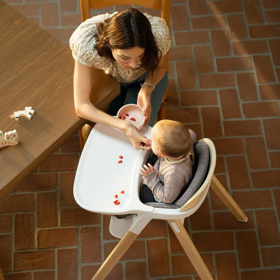 NUNA High Chairs and Booster Nuna Bryn High Chair