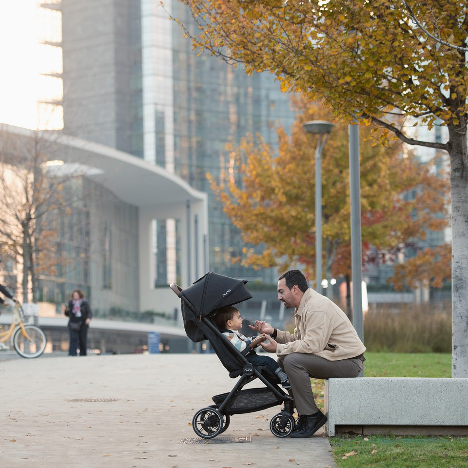 Nuna Standard Nuna TRVL LX Stroller + Carry Bag