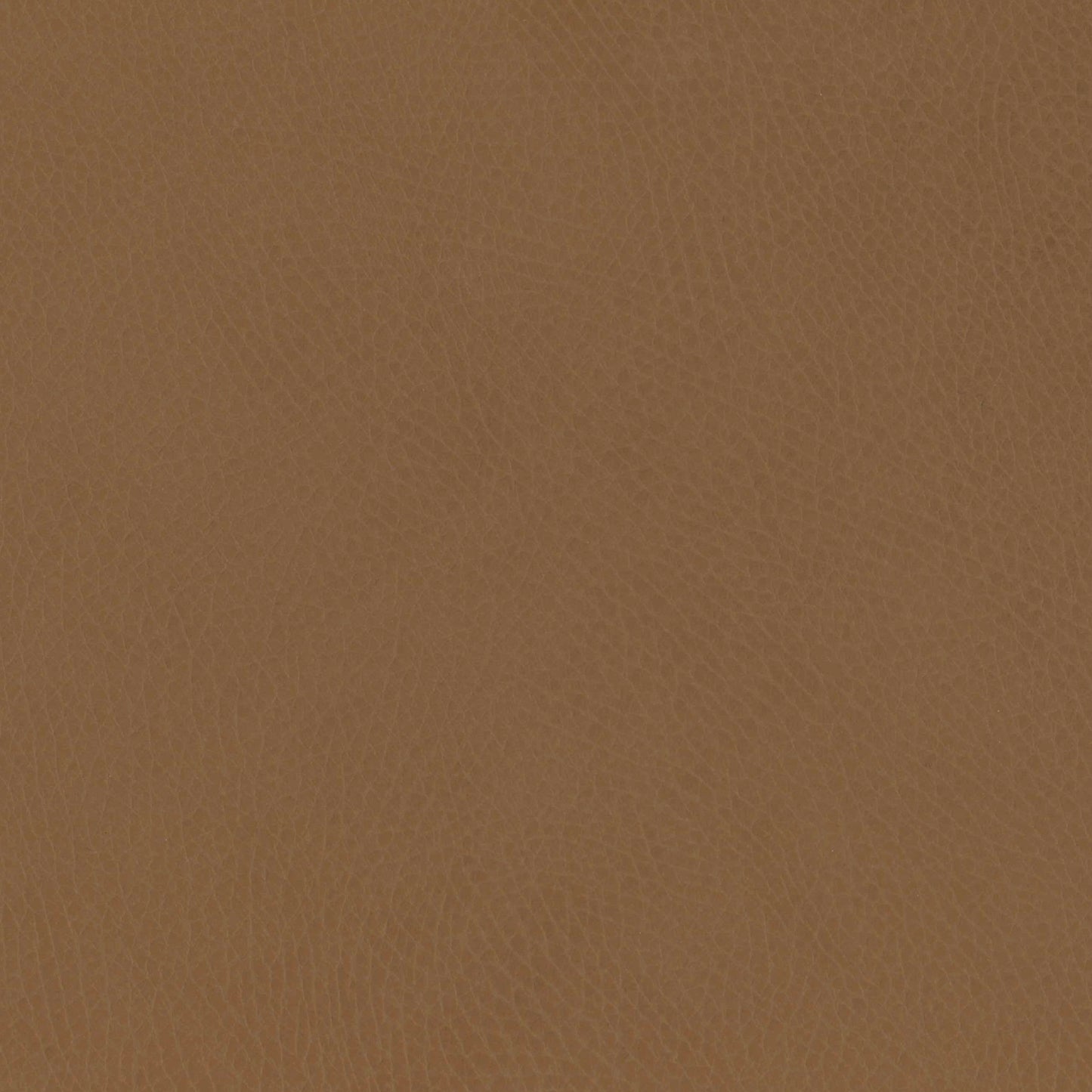 M26834GCLB,Babyletto,babyletto x GATHRE Capsule Bassinet in Camel