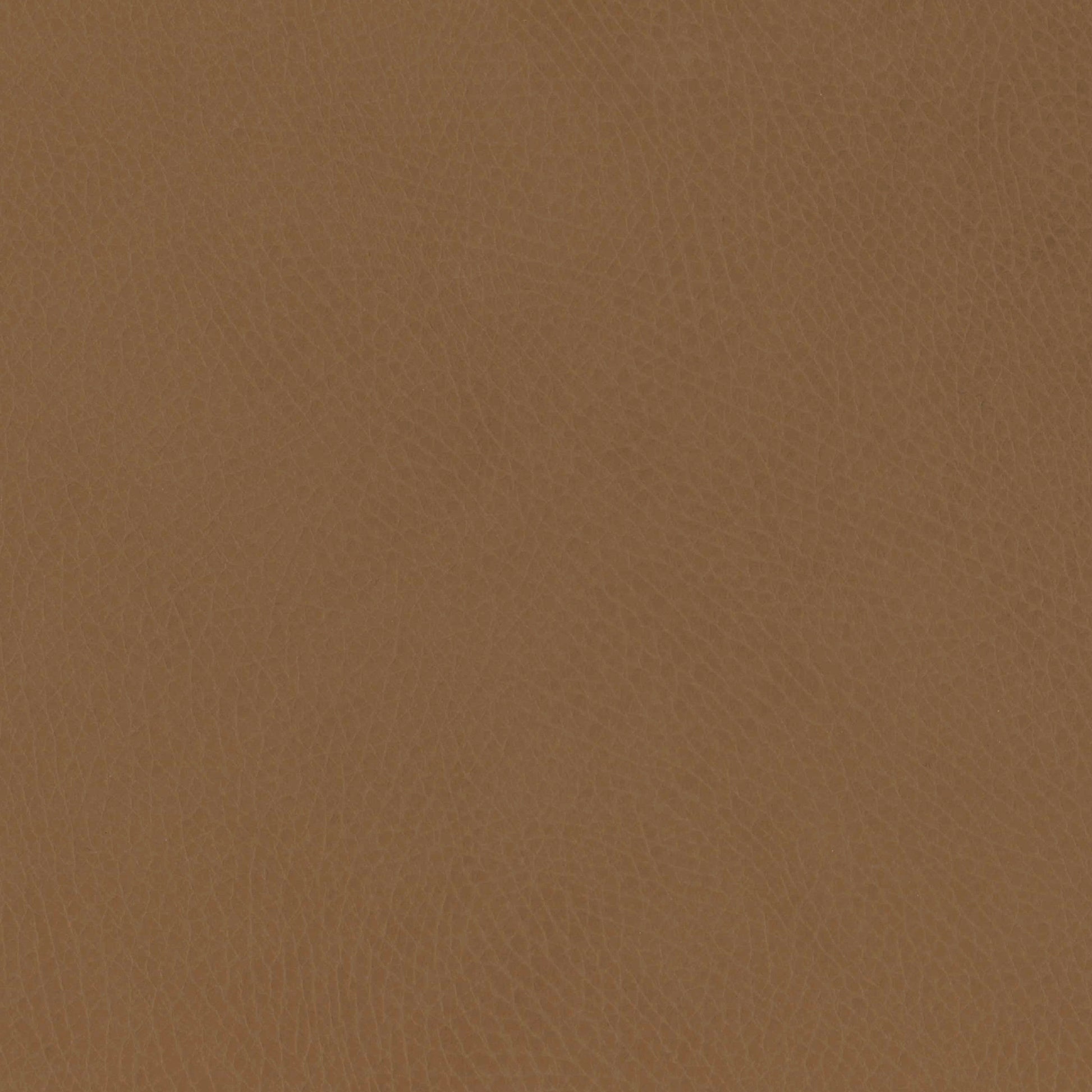 M26834GCLB,Babyletto,babyletto x GATHRE Capsule Bassinet in Camel