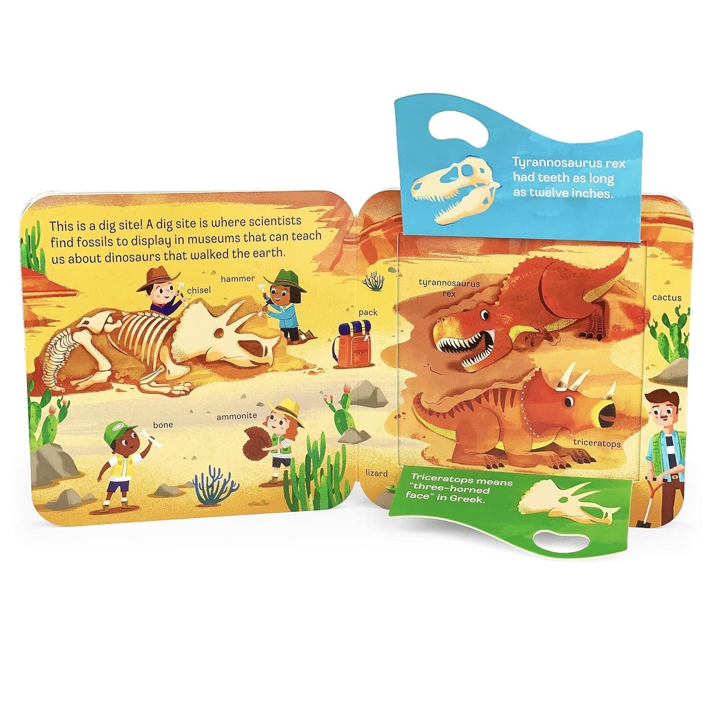 Cottage Door PressPeek-a-Flap Dino BookBabysupermarket
