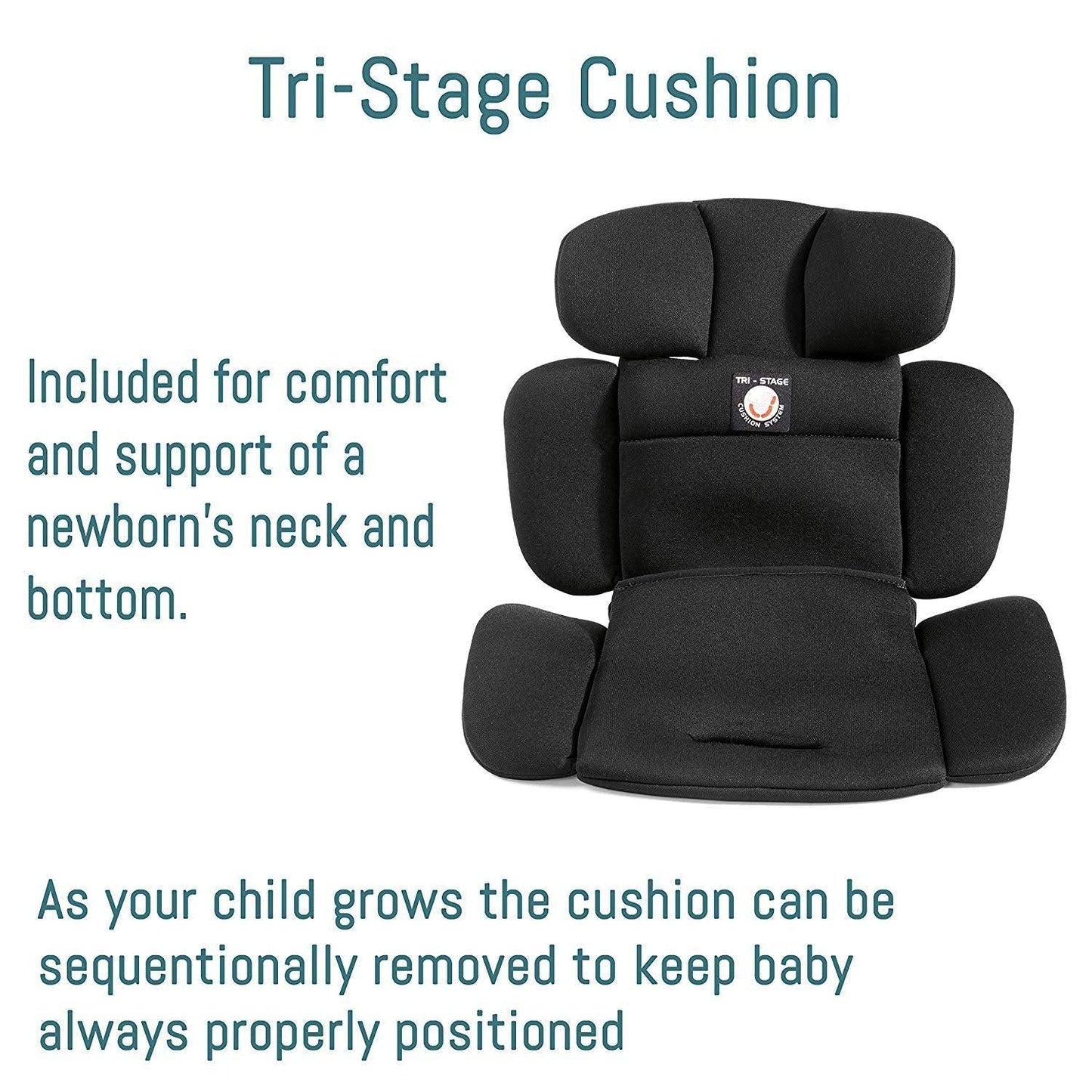 Peg Perego Car Seats - Convertible Peg Perego Primo Viaggio Convertible Kinetic Car Seat