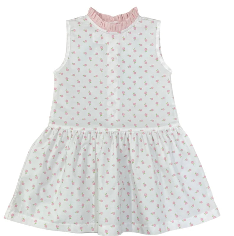 Poppyland Blush Buds / 2 Toddler Poppyland Blush Buds Quinn Dress