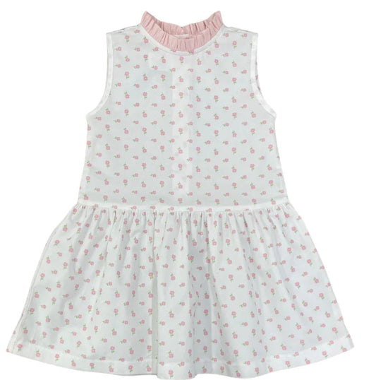 Poppyland Blush Buds / 2 Toddler Poppyland Blush Buds Quinn Dress