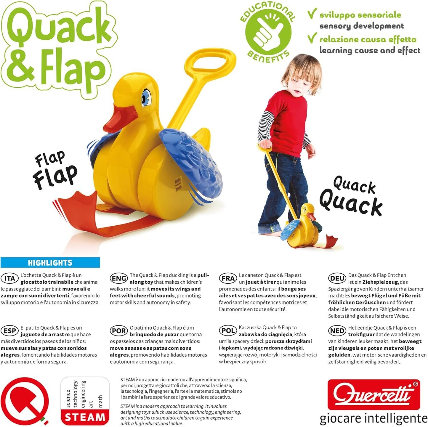 Quercetti Quack and Flap