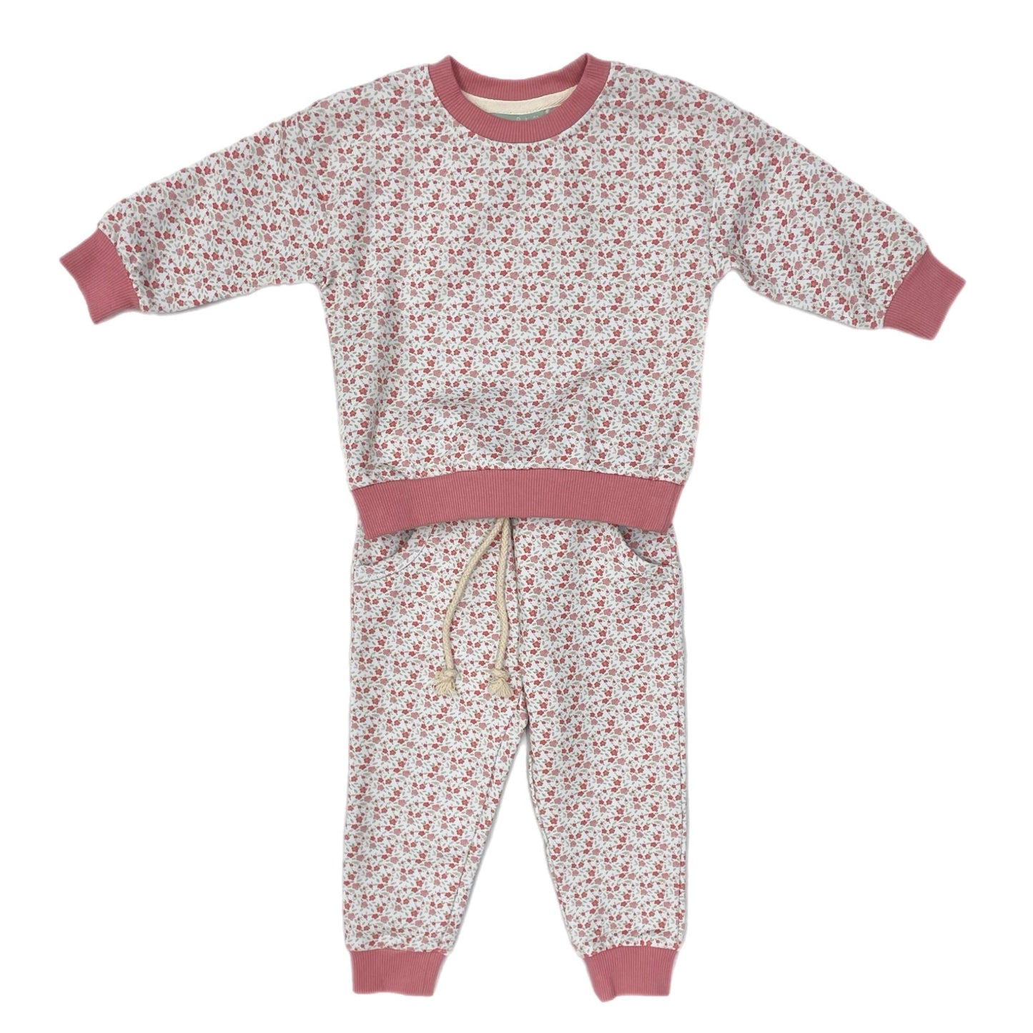 Sage & Lilly Toddler Pink Floral / 12 Mo Sage & Lilly Girls Pink Floral Jogger Set