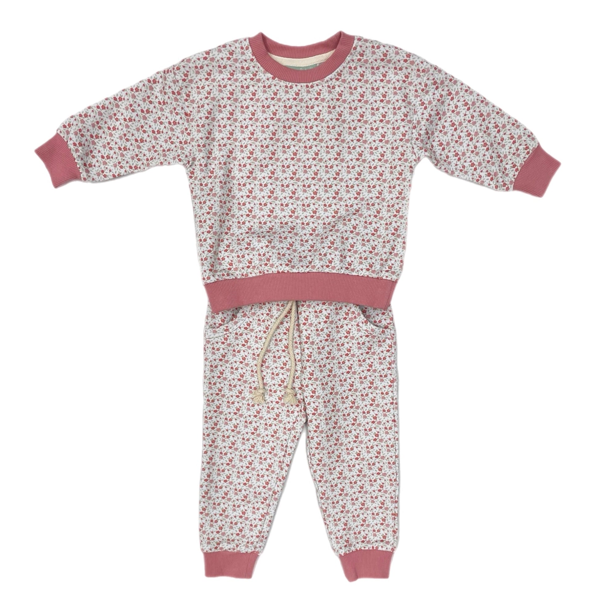 Sage & Lilly Toddler Pink Floral / 12 Mo Sage & Lilly Girls Pink Floral Jogger Set