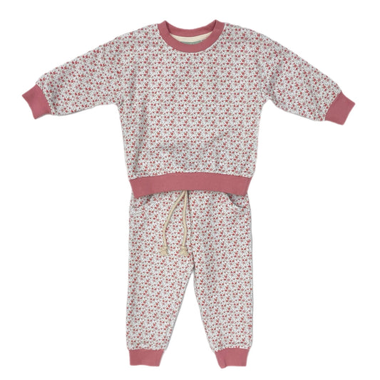 Sage & Lilly Toddler Pink Floral / 12 Mo Sage & Lilly Girls Pink Floral Jogger Set