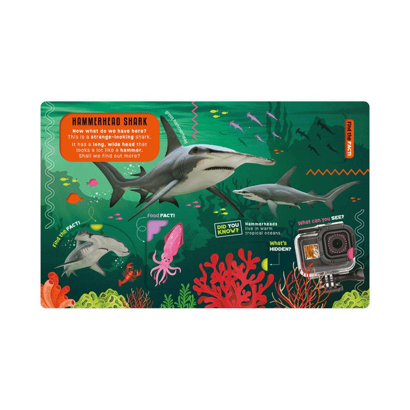 Scholastic Fact Explorer Sharks