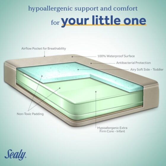 Sealy Orion Lightweight Antibacterial 2-Stage