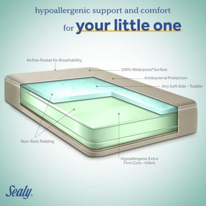 Sealy Orion Lightweight Antibacterial 2-Stage