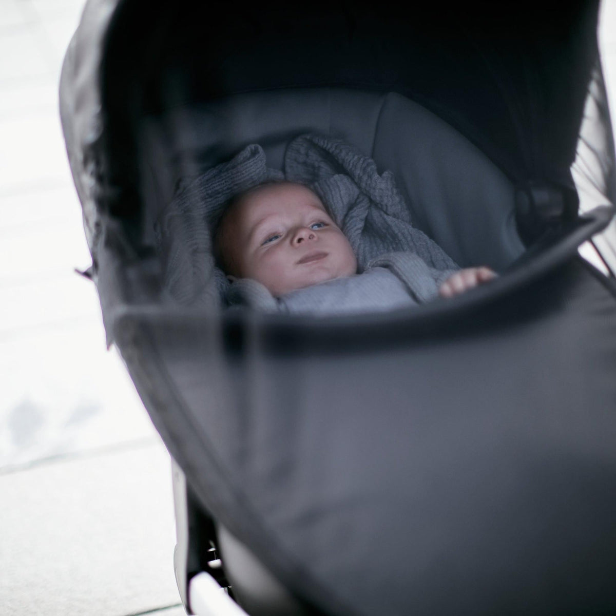 ThuleThule Bassinet Mesh CoverBabysupermarket