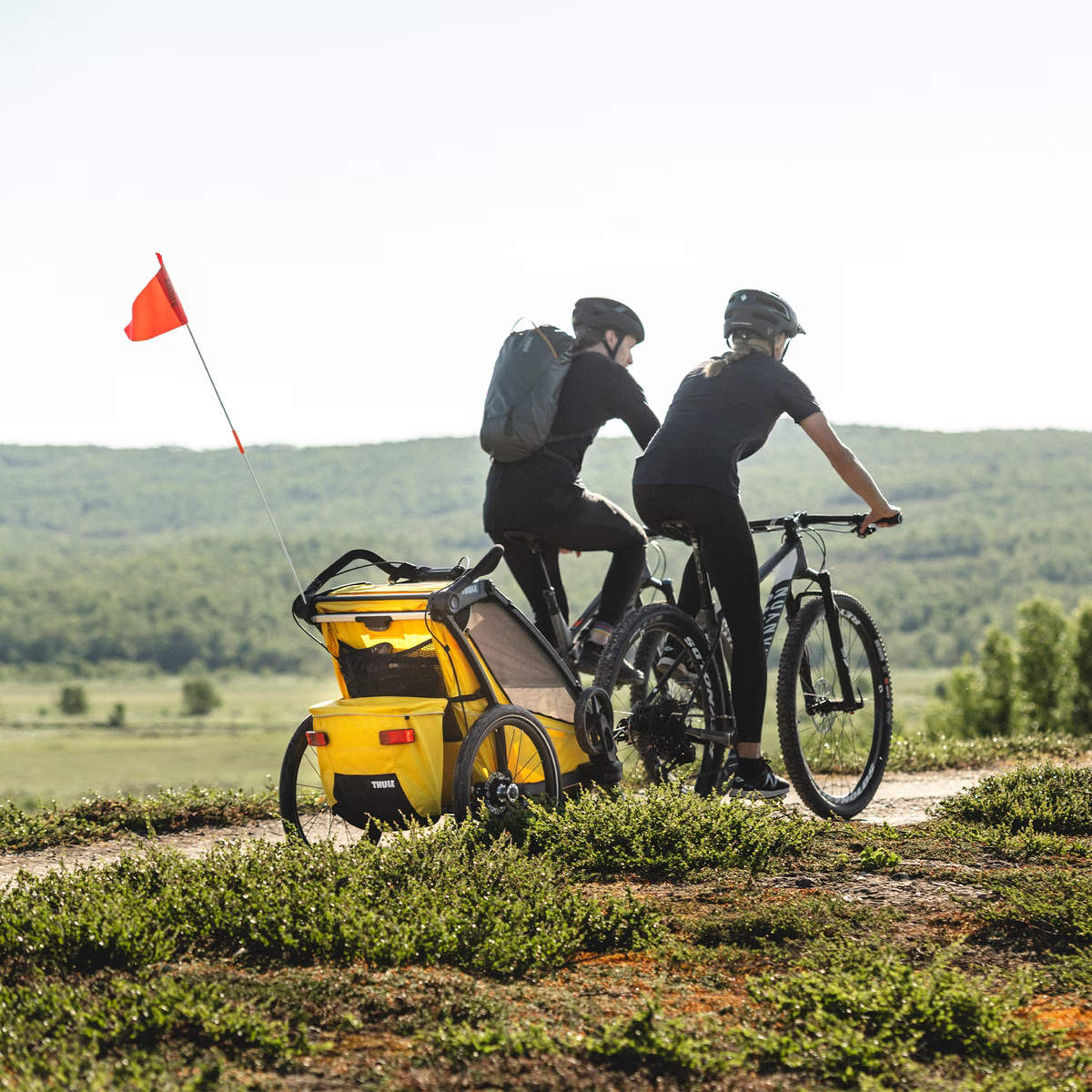 Thule Strollers - Single Black/Black Frame Thule Chariot Sport 1