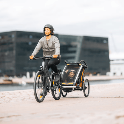 Thule Strollers - Single Black Thule Chariot Sport 2 Double