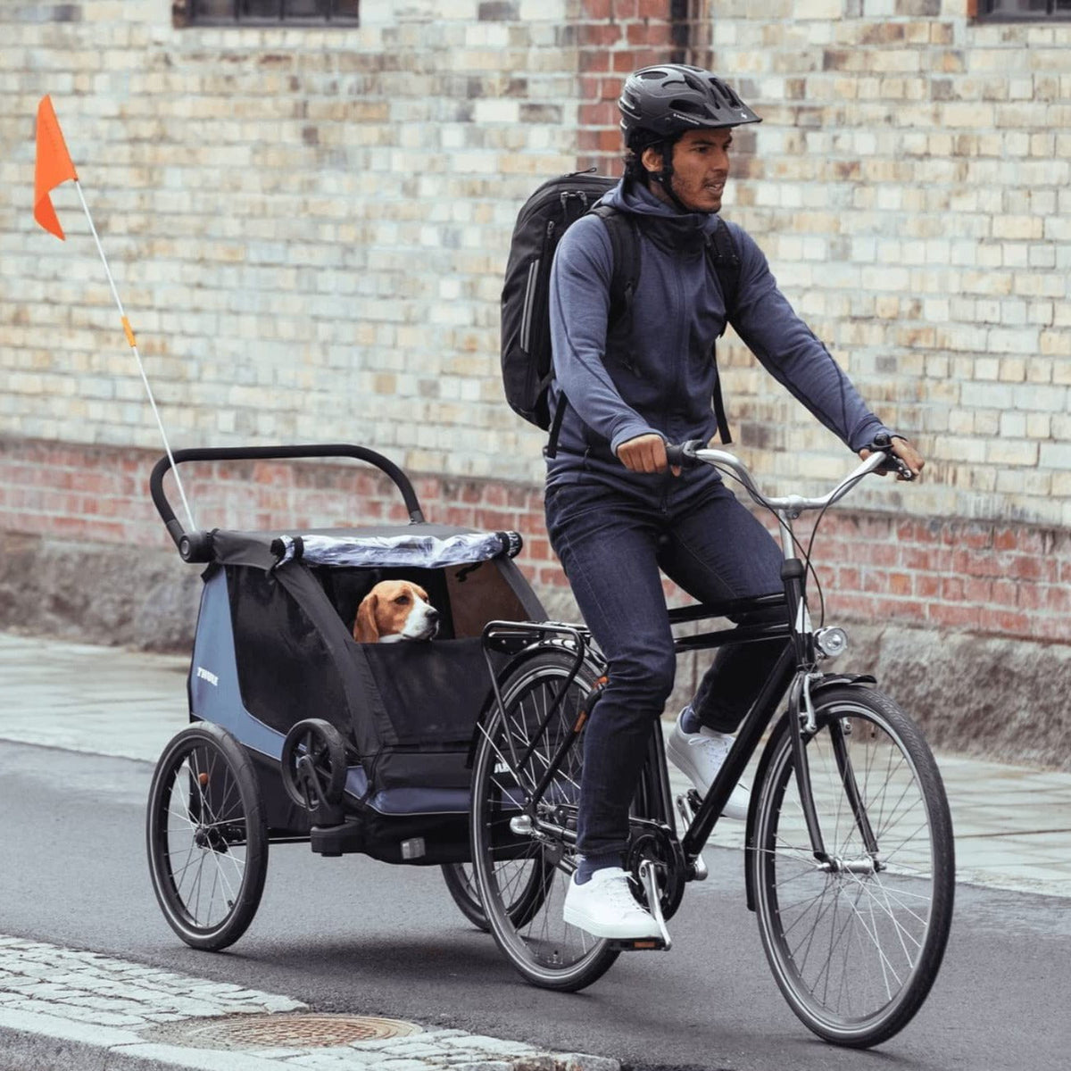Thule Stroller Accessories Thule Courier Dog Trailer Kit