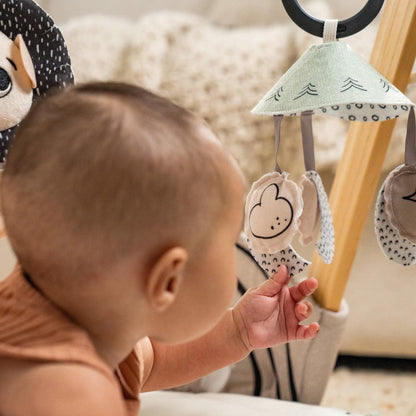 Tiny LoveTiny Love Black & White GyminiBabysupermarket