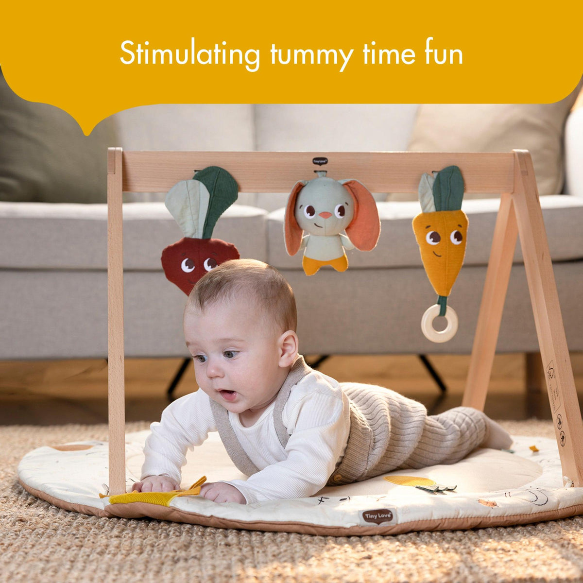 Tiny Love Toys Tiny Love Luxe Developmental Gymini | Garden of Adventures