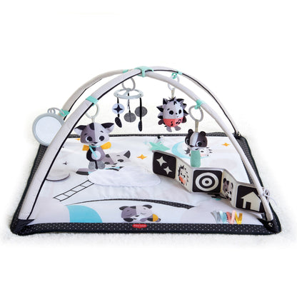 Dorel Juvenile Infant Toys Tiny Love Magical Tales Black & White Gymini