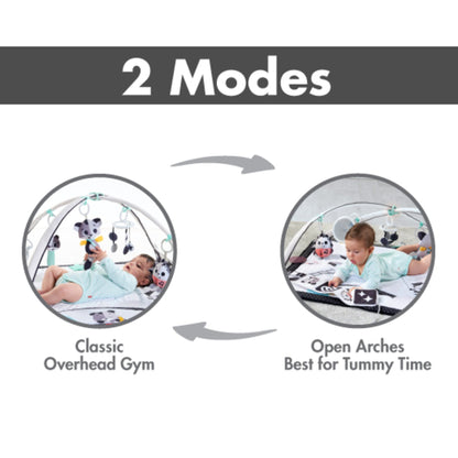 Dorel Juvenile Infant Toys Tiny Love Magical Tales Black & White Gymini