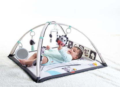 Dorel Juvenile Infant Toys Tiny Love Magical Tales Black & White Gymini