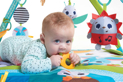 Dorel Juvenile Infant Toys Tiny Love Meadow Days Sunny Day Gymini