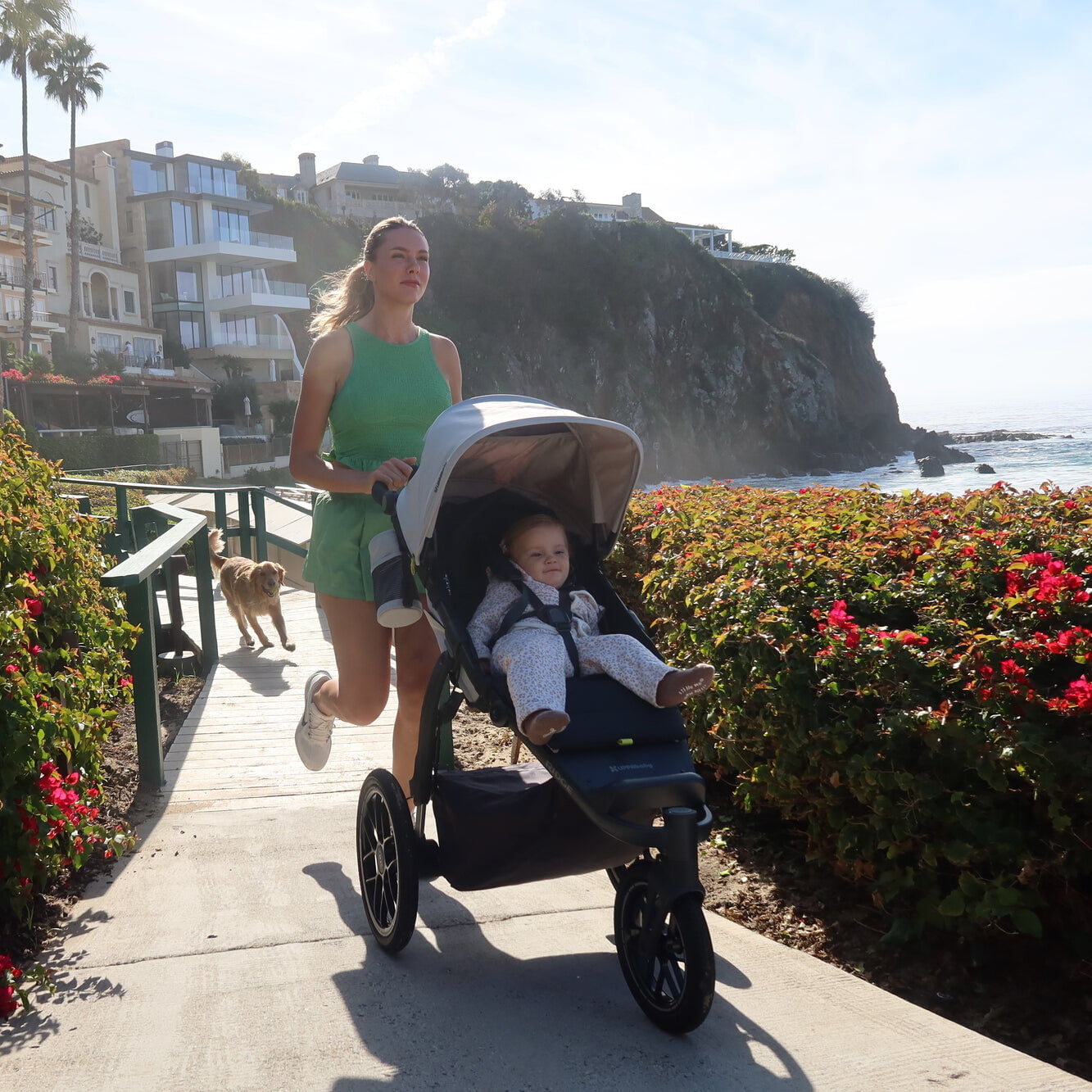 UPPAbabyUPPAbaby Ridge V2 All-Terrain StrollerBabysupermarket