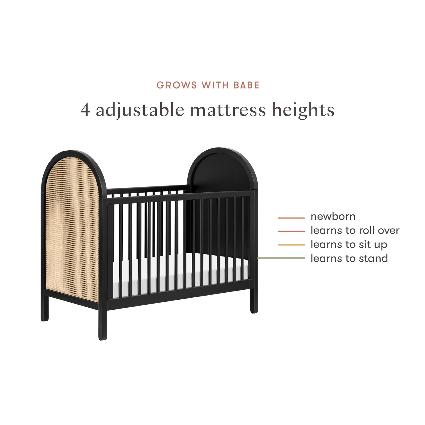 Babyletto Bondi Cane 3-in-1 Convertible Crib with Toddler Bed Conversion Kit
