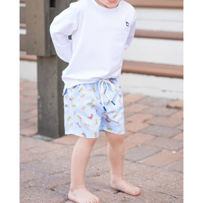 Blue Quail Clothing Company Boys Boots Swim Trunk