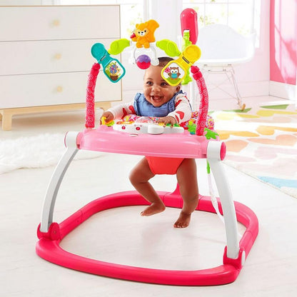 Fisher-Price Floral Confetti Spacesaver Jumperoo