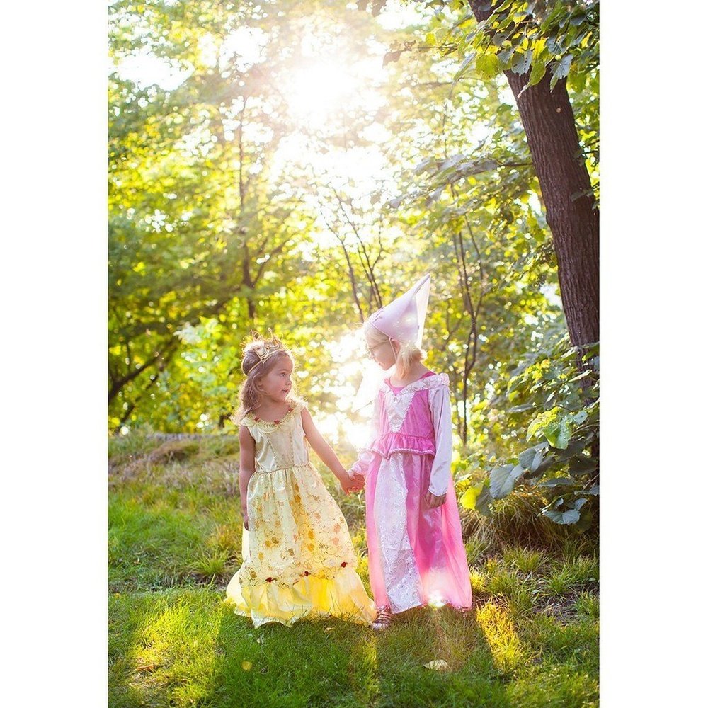 Little Adventures Sleeping Beauty Dress Up